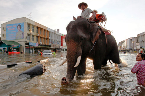 อีกมุมหนึ่ง ของปัญหาน้ำท่วม