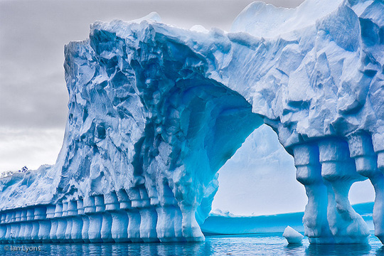 รวมภาพเพลโน เบย์ ทวีปแอนตาร์กติกา 