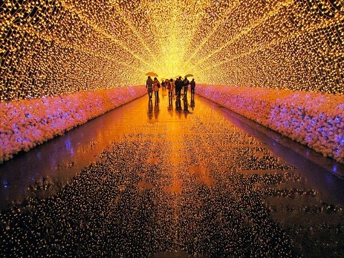 เทศกาลโคมไฟของญี่ปุ่น