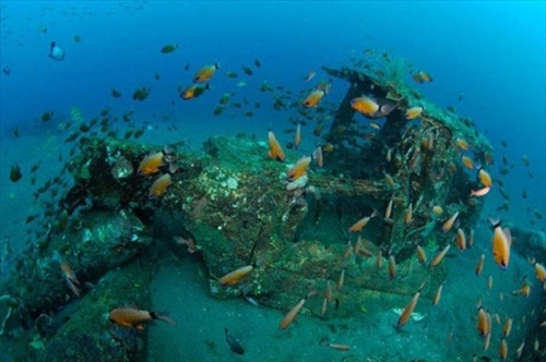 แนวปะการังรถยนต์ใต้ทะเลลึก