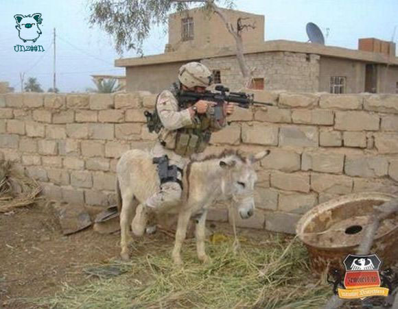 Fun in Iraq