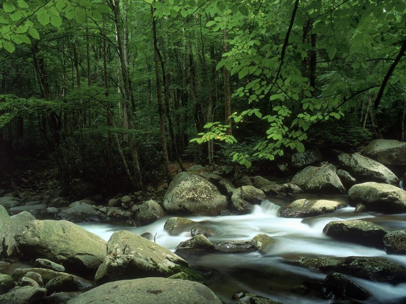Great Smoky Mountain (Tennessee)