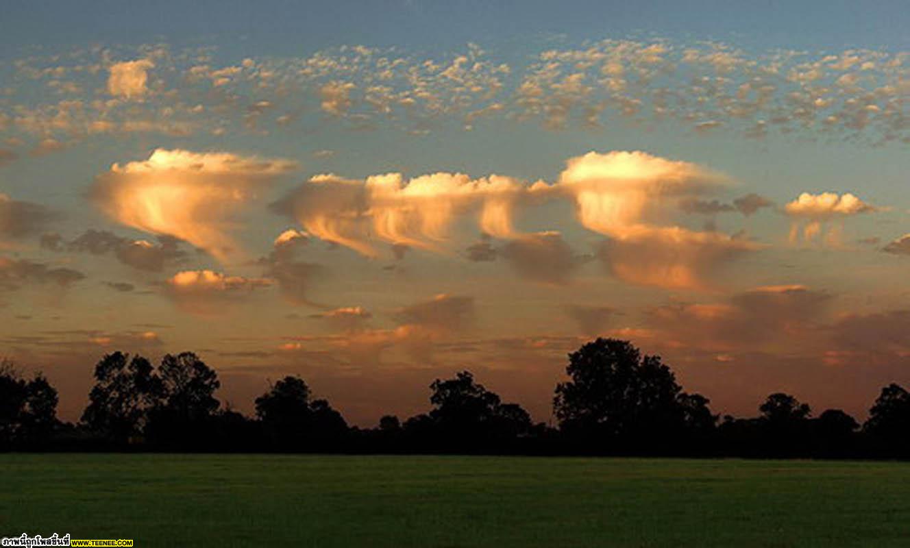 อันดับ 10 Altocumulus Castelanus เมฆกลุ่มนี้คือจะเป็นพุ่มๆเหมือนแมงกะพรุน เกิดจากลมที่ชื้นๆจากกระแสน้ำอุ่นกัลฟ์สตรีม มาเจอกับอากาศแห้งๆ