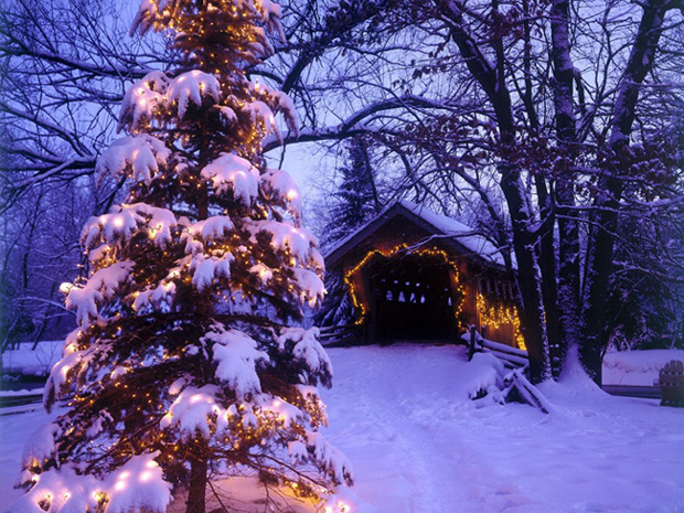 Snowy Christmas .•°•.°ღ