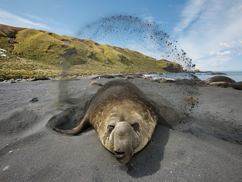 All Photos from National Geographic Magazine (NGM)