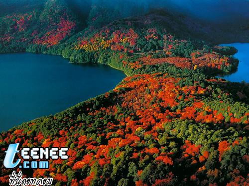 Lanin NationalPark In Argentina