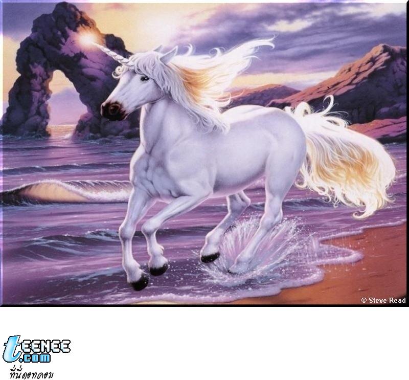 รูปม้า Unicorn สวยๆ
