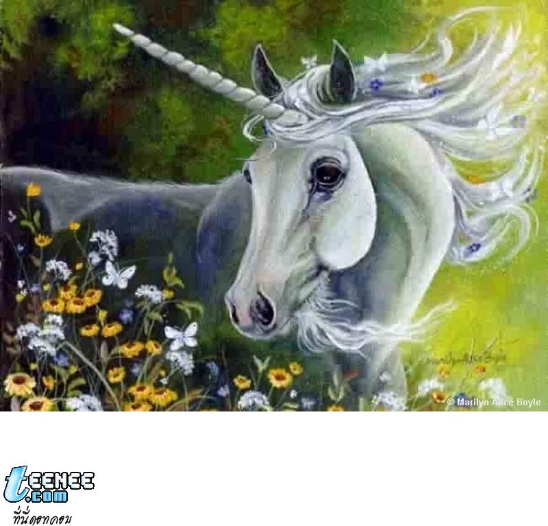 รูปม้า Unicorn สวยๆ