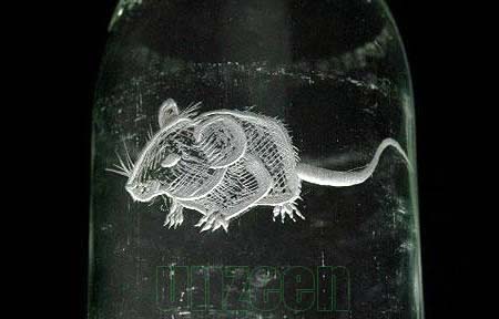 Art on Milk Bottle