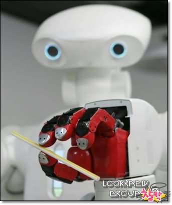 JAPANESE ROBOT ~ TWENDY-ONE