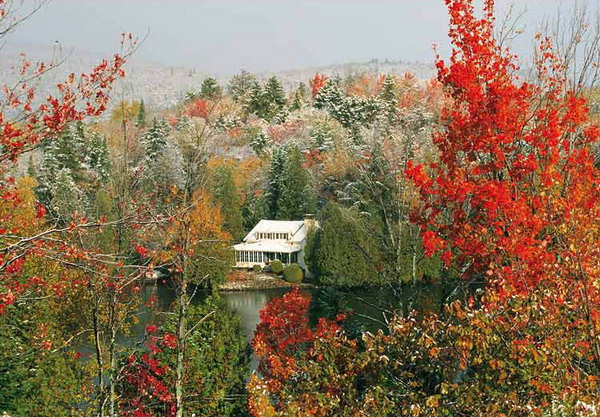 Houses with Stunning Views