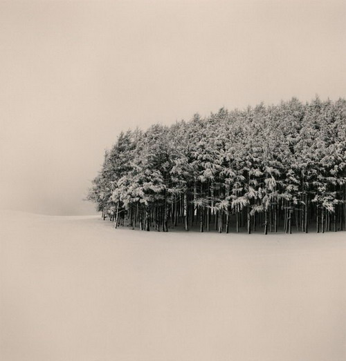 Silent beauty from Michael Kenna (1)