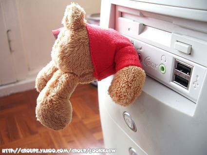 USB Teddy Bear--น่ารักดี แต่รู้สึกว่าโหดตอนใช้‏