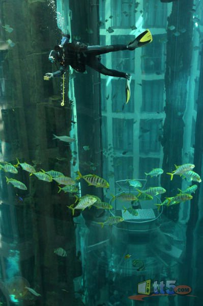 Elevator inside the aquarium