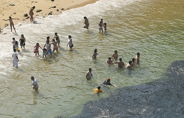 \"ฝูงปลานับแสน หนีตายจากญี่ปุ่นมาโผล่ที่ชาดหาดเม็กซิโก\"