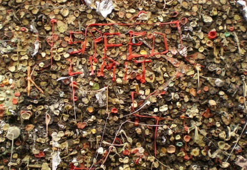 GuM WaLL ~ กำแพงหมากฝรั่ง??!! (2)