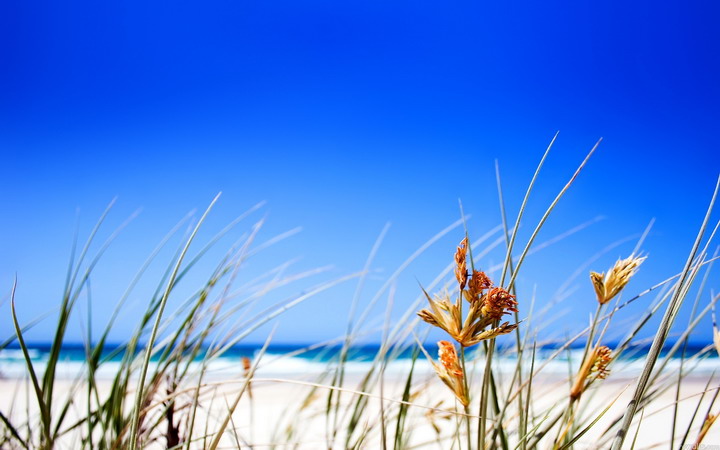 Clear Beach Sky