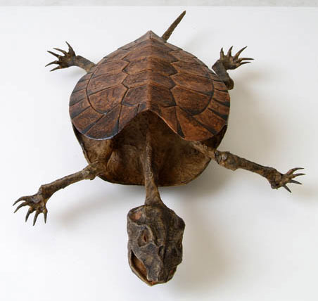 สัตว์แปลก จากพิพิธภัณฑ์ของแปลกญี่ปุ่น