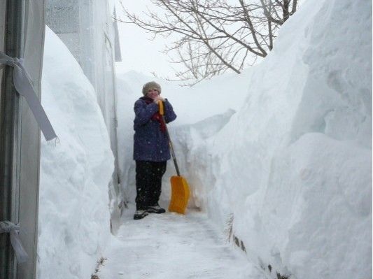 มาช่วยโกยหิมะหน่อย @ Quebec city Canada