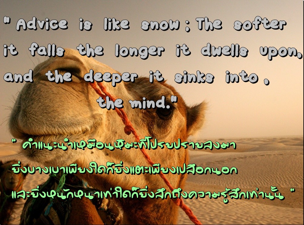 คำคมภาษาอังกฤษ แปล ไทย