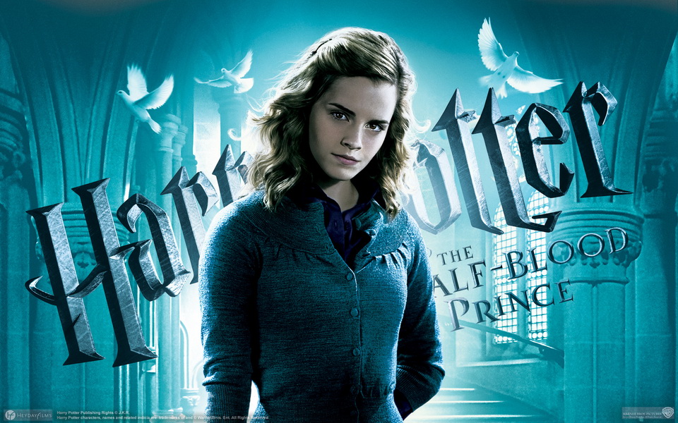 * ~ Harry Potter and the Half-Blood Prince ~ *