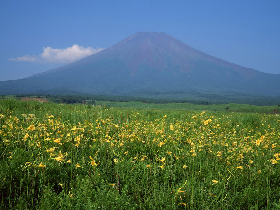 Mount Fuji •°•.° ღ.