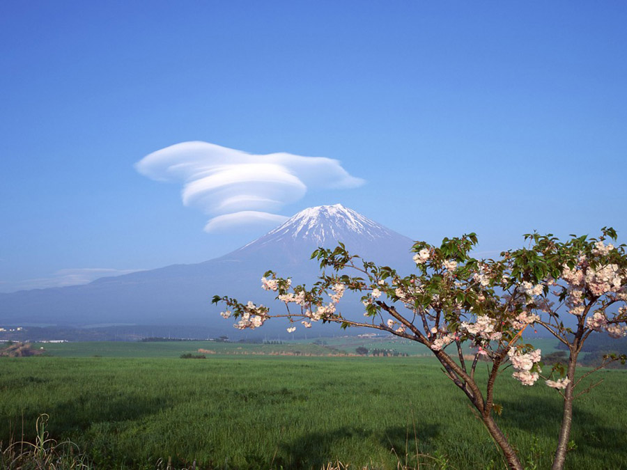 Mount Fuji •°•.° ღ.