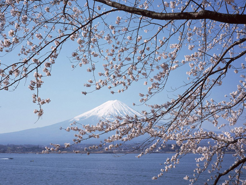 Mount Fuji •°•.° ღ.