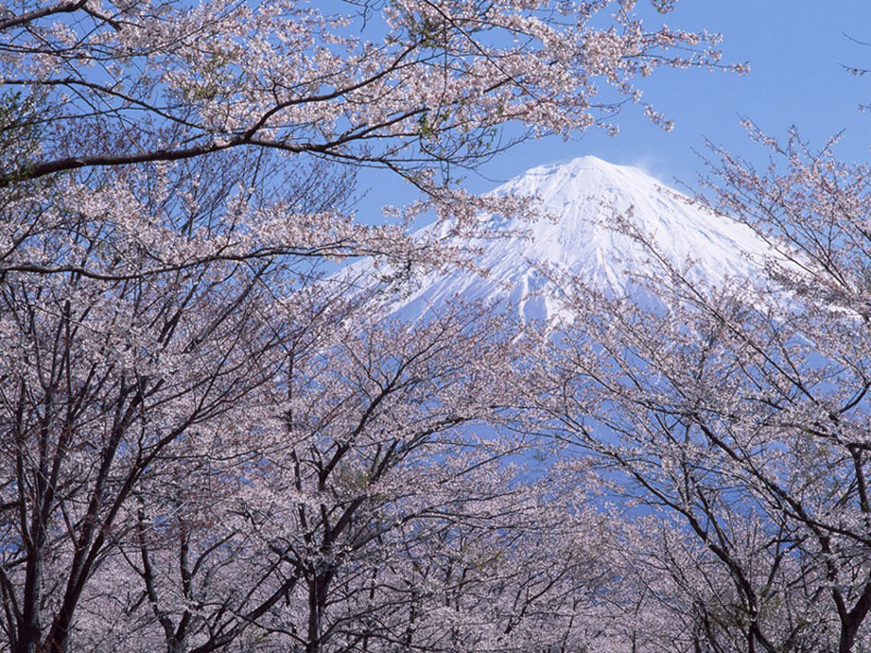 Mount Fuji •°•.° ღ.