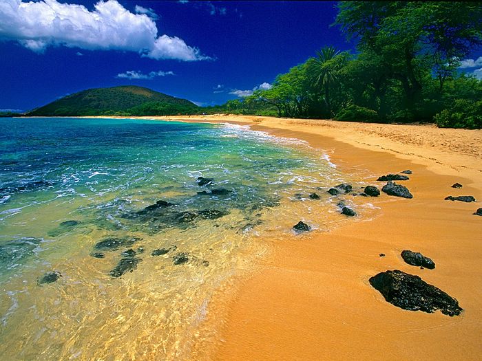 Big Beach Maui Hawaii