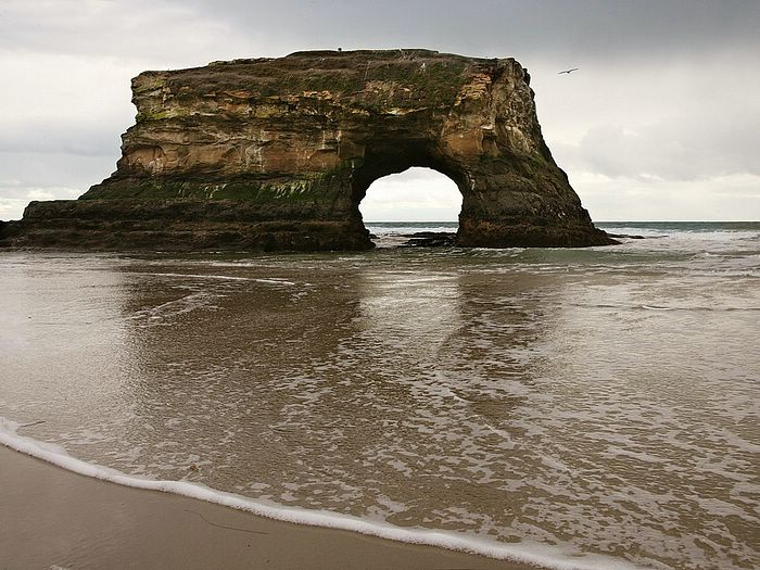 Natural Bridges State Beach Santa Cruz California