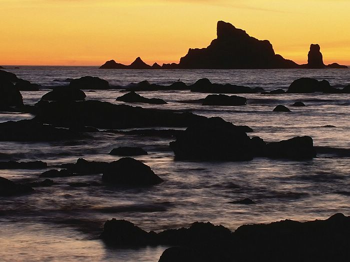 Seastacks From Rialto Beach Olympic National Park Washington