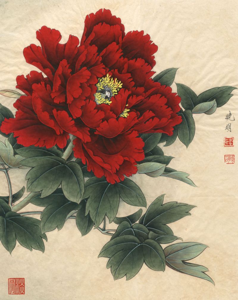 ภาพวาดพู่กันจีน...-นก ดอกไม้และธรรมชาติ-