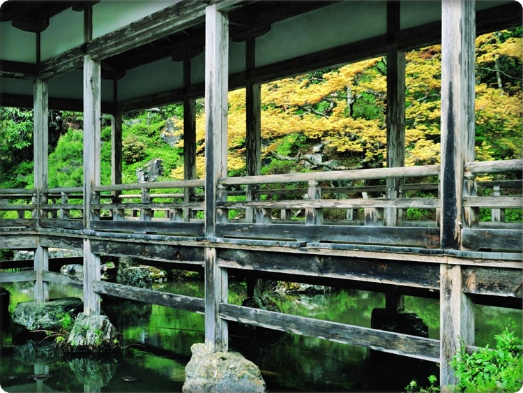 ♥Kyoto : Japan...ดินแดนอาทิตย์อุทัย♥ 