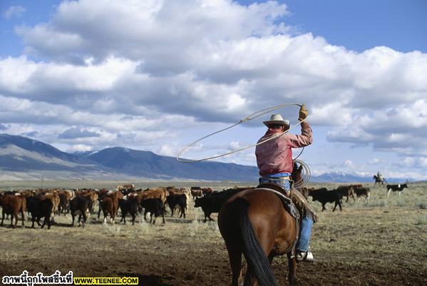 ทัศนียภาพเวิ้งว้าง จุดศูนย์กลางแห่งความเหงา \"IDAHO\"