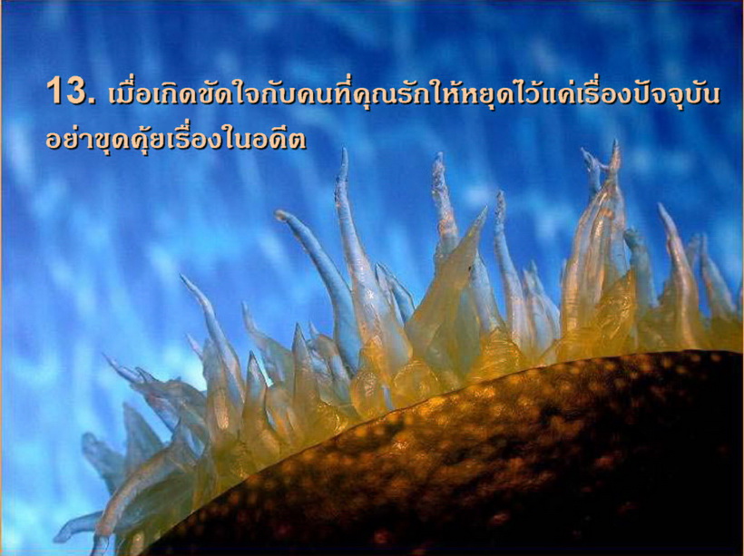 สวยทั้งภาพ และ ถ้อยคำ