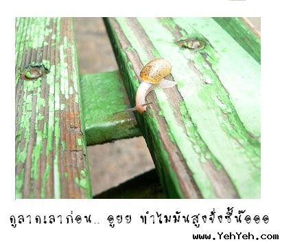 ~ความพยายามของหอยทาก~