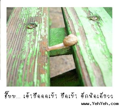 ~ความพยายามของหอยทาก~