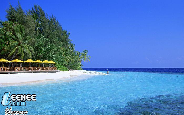 Maldives เกาะสวรรค์บนพื้นพิภพ