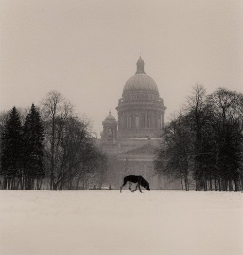 Silent beauty from Michael Kenna (2)  