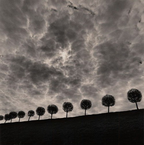 Silent beauty from Michael Kenna (2)  