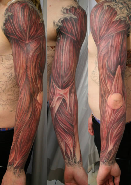 Anatomical Tattoos