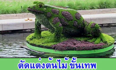 สรวลเส..เฮฮา กับภาพขำขำ 2