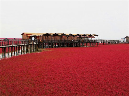 Red Beach หาดทรายสีแดงเลือด 