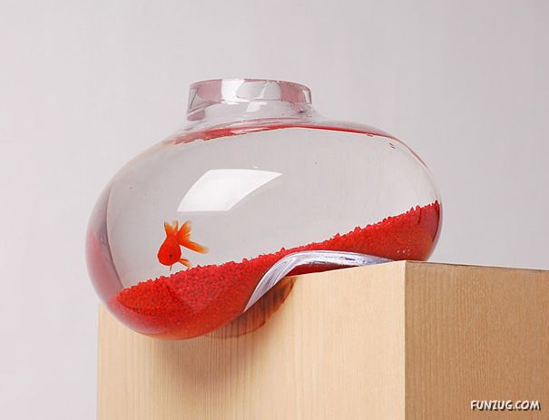 1) Balancing Fishbowl 