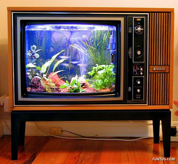 5) Old TV Aquarium