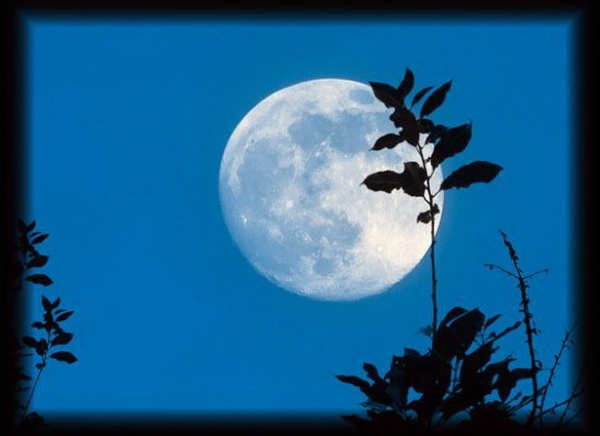 ซุปเปอร์มูน 2013 ปรากฏการณ์ ดวงจันทร์ใหญ่ 