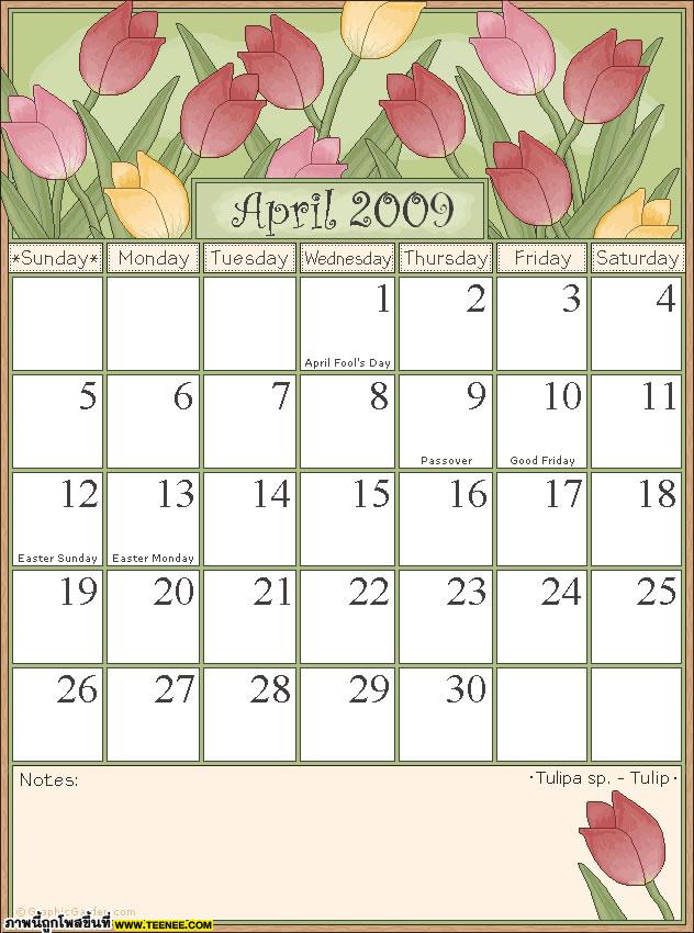 Calander 2009 ปฏิทินดอกไม้ปี 2552