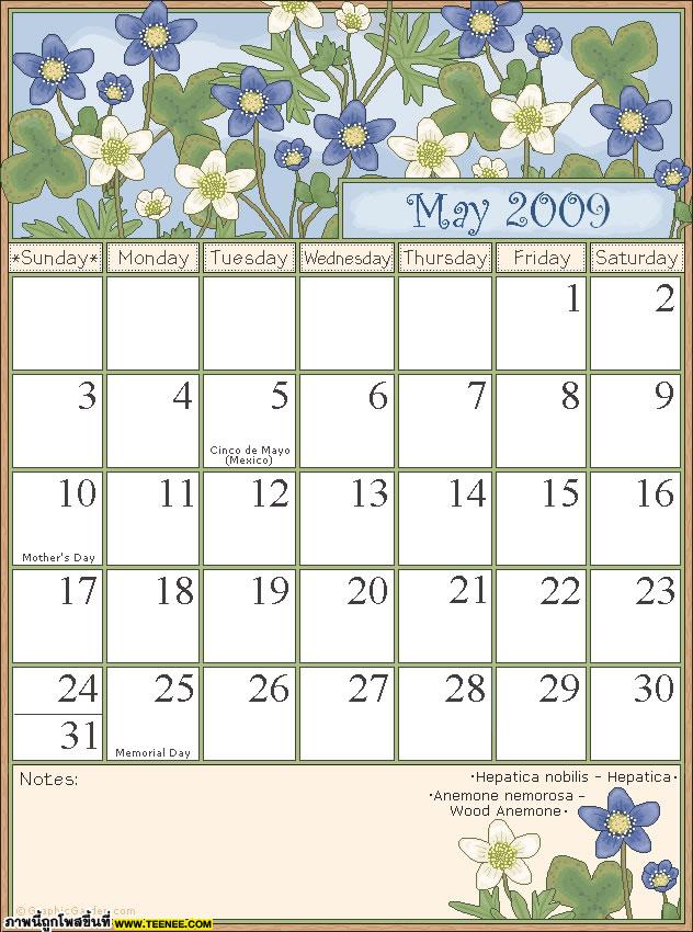 Calander 2009 ปฏิทินดอกไม้ปี 2552