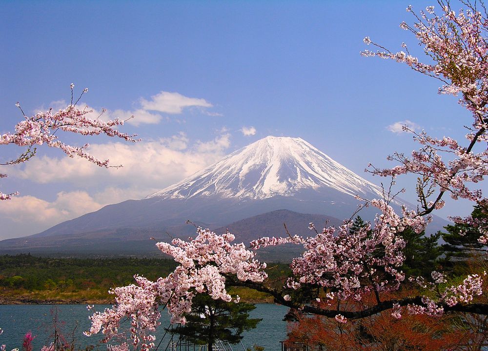 ภูเขาไฟฟูจิ ยามซากุระบาน